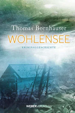 Thomas Bornhauser Wohlensee обложка книги