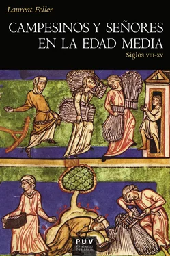 Laurent Feller Campesinos y señores en la Edad Media обложка книги