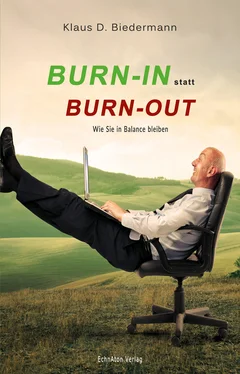 Klaus D. Biedermann Burn-In statt Burn-Out обложка книги