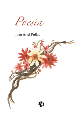 Juan Ariel Pullao Poesía обложка книги