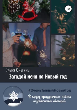 Женя Онегина Загадай меня на Новый год обложка книги