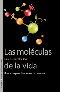 David González Jara Las moléculas de la vida обложка книги