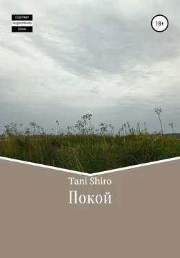 Tani Shiro Покой обложка книги