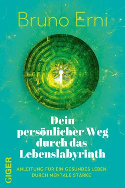 Bruno Erni Dein persönlicher Weg durch das Lebenslabyrinth обложка книги