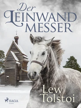 Lew Tolstoi Der Leinwandmesser обложка книги