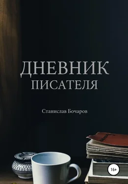 Станислав Бочаров Дневник писателя обложка книги
