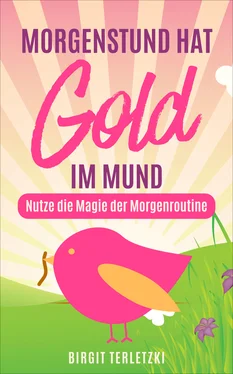 Birgit Terletzki Morgenstund hat Gold im Mund обложка книги