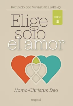 Sebastián Blaksley Elige solo el amor: Homo-Christus Deo обложка книги