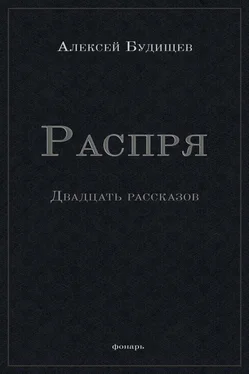 Алексей Будищев Распря обложка книги