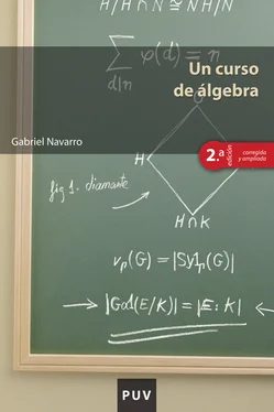 Gabriel Navarro Ortega Un curso de álgebra обложка книги