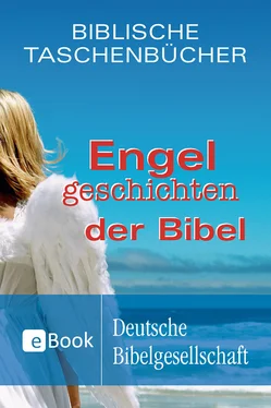 Christiane Herrlinger Engelgeschichten der Bibel обложка книги