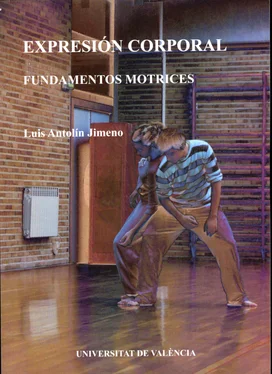 Luis Antolín Jimeno Expresión corporal обложка книги