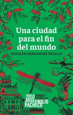 Oswaldo Hernández Trujillo Una ciudad para el fin del mundo