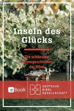 Gisela Andresen Inseln des Glücks обложка книги