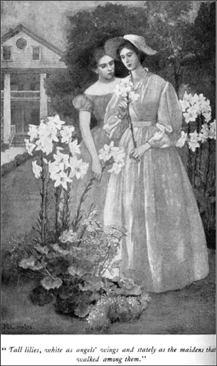 Southern belle ilustración de las señoras Cowles Social Life in Old Virginia - фото 3