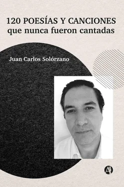 Juan Carlos Solórzano 120 poesías y canciones que nunca fueron cantadas обложка книги