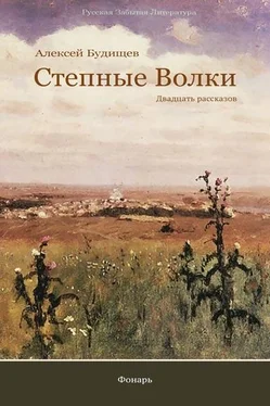 Алексей Будищев Степные волки обложка книги