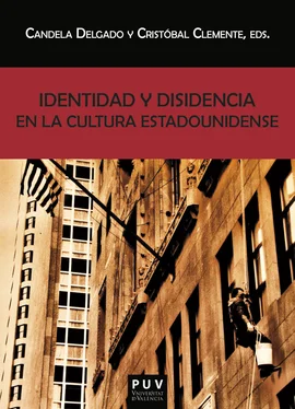 AAVV Identidad y disidencia en la cultura estadounidense обложка книги