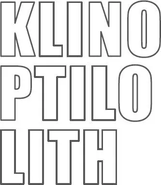 Heilen mit dem ZeolithMineral Klinoptilolith eBook - изображение 3