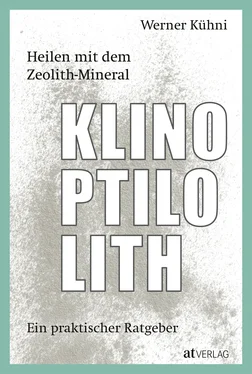 Werner Kühni Heilen mit dem Zeolith-Mineral Klinoptilolith - eBook обложка книги