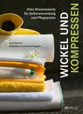 Vreni Brumm Wickel und Kompressen - eBook обложка книги