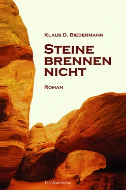 Klaus D. Biedermann Steine brennen nicht обложка книги