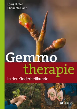 Chrischta Ganz Gemmotherapie in der Kinderheilkunde - eBook обложка книги