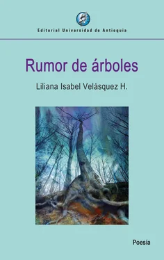 Liliana Isabel Velásquez H. Rumor de árboles обложка книги