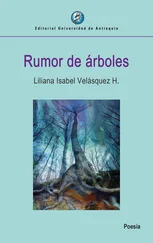 Liliana Isabel Velásquez H. - Rumor de árboles