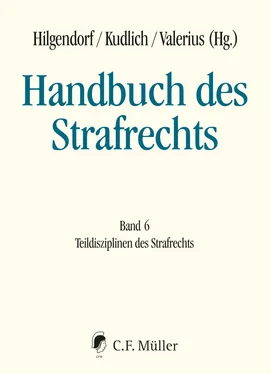 Bernd Heinrich Handbuch des Strafrechts обложка книги