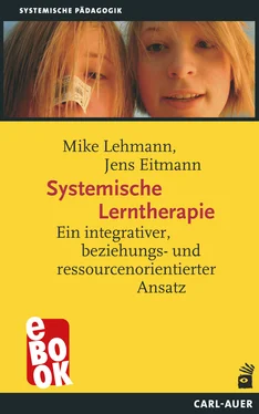 Mike Lehmann Systemische Lerntherapie обложка книги