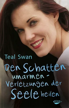 Teal Swan Den Schatten umarmen обложка книги