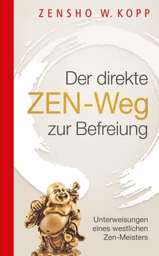 Zensho W. Kopp Der direkte ZEN-Weg zur Befreiung обложка книги