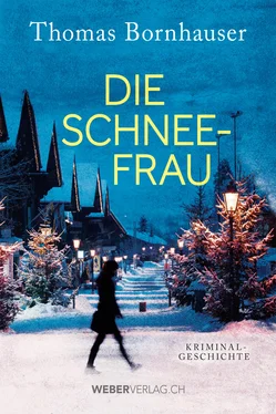 Thomas Bornhauser Die Schneefrau обложка книги