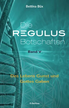 Bettina Büx Die Regulus-Botschaften: Band V обложка книги