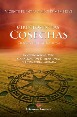 Àngels Membrive Vilàs Círculos de las cosechas: ciencia y espiritualidad обложка книги