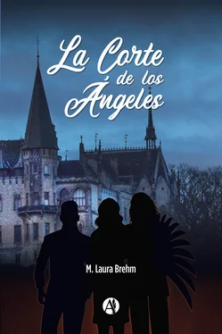 M. Laura Brehm La Corte de los Ángeles обложка книги