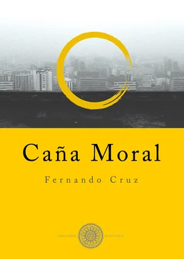 Fernando Cruz Caña moral обложка книги