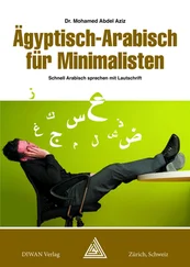Mohamed Abdel Aziz - Ägyptisch-Arabisch für Minimalisten