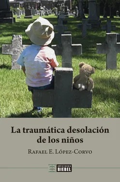 Rafael E. López-Corvo La traumática desolación de los niños обложка книги