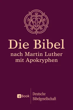 Martin Luther Die Bibel nach Martin Luther обложка книги