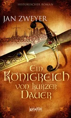 Jan Zweyer - Ein Königreich von kurzer Dauer