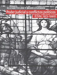 Brian Loveman - Poder Judicial y conflictos políticos. Tomo III. (Chile - 1973-1990)