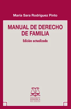 María Sara Rodríguez Pinto Manual de Derecho de Familia обложка книги