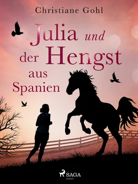 Christiane Gohl Julia und der Hengst aus Spanien обложка книги