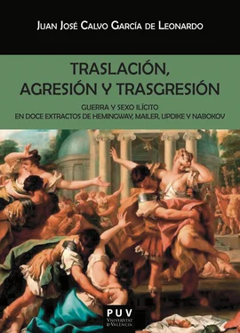 Juan José Calvo García de Leonardo Traslación, agresión y trasgresión обложка книги