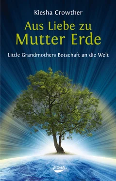 Kiesha Crowther Aus Liebe zu Mutter Erde обложка книги