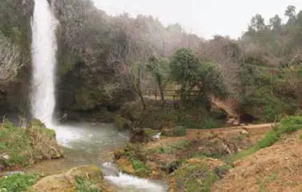 Paraje Natural Los Chorradores Navarrés PRINCIPIOS DE PARTIDA DE - фото 5