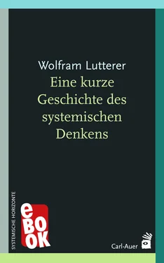 Wolfram Lutterer Eine kurze Geschichte des systemischen Denkens обложка книги