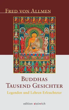 Fred von Allmen Buddhas Tausend Gesichter обложка книги